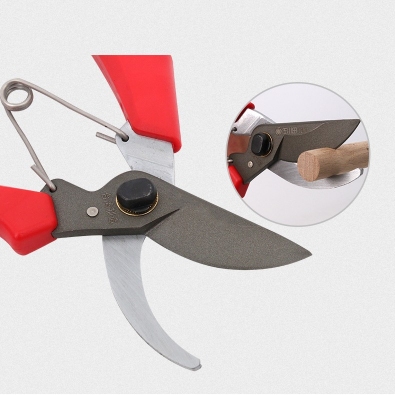 Fruit Tree Gardening Scissors - Image 6