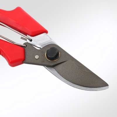 Fruit Tree Gardening Scissors - Image 5