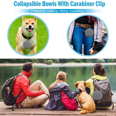 Rubber Foldable Double Pet Feeding Bowl - Image 5